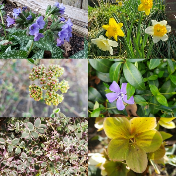 Meet your Posher, Buffy - Picture 7 of 9